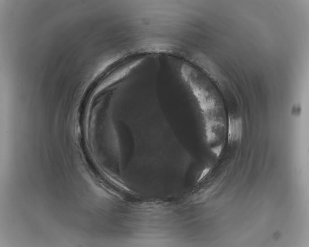 X0000097630627200803142025