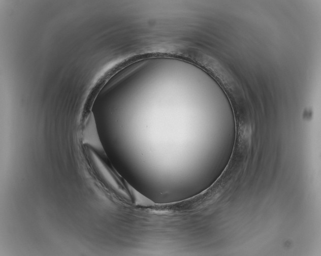 X0000097630628200803142025