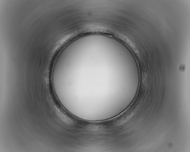 X0000097630629200803142025