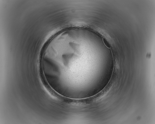 X0000097630630200803142025