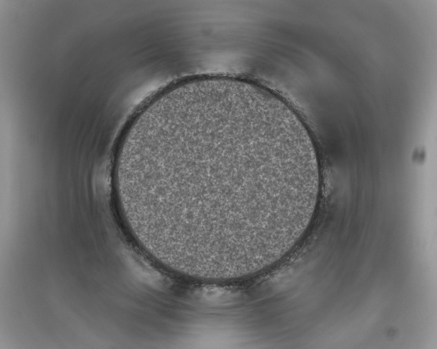 X0000097630632200803142025