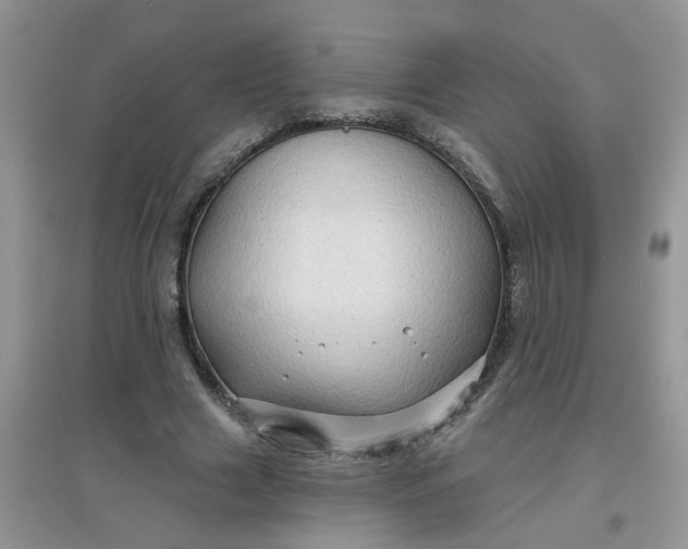 X0000097630633200803142025