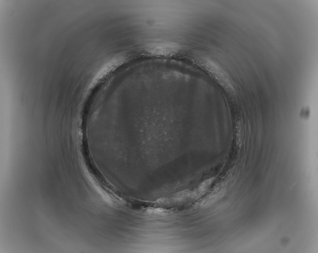 X0000097630634200803142025