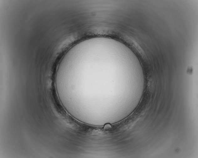 X0000097630635200803142025