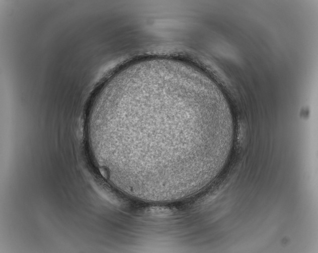 X0000097630636200803142025