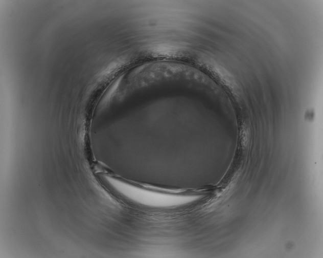 X0000097630637200803142025