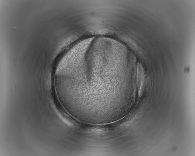 X0000097630638200803142025