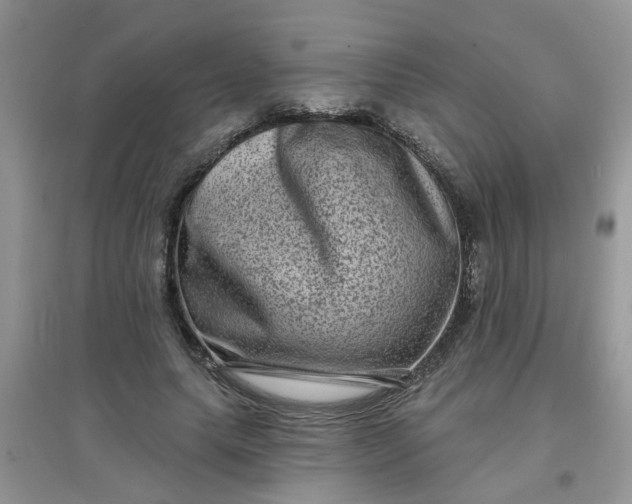 X0000097630639200803142025