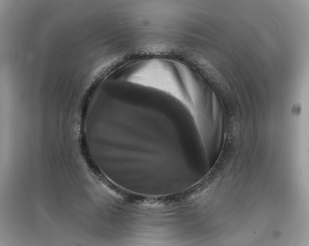 X0000097630640200803142025