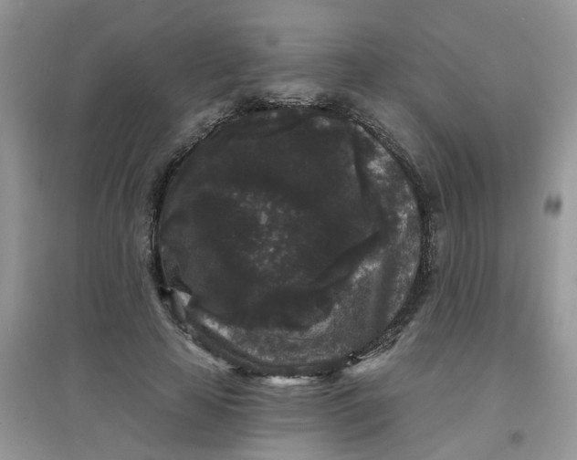 X0000097630641200803142025