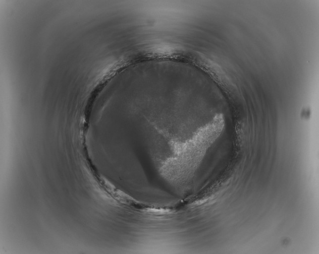 X0000097630642200803142025