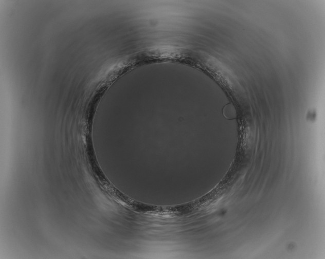 X0000097630643200803142025