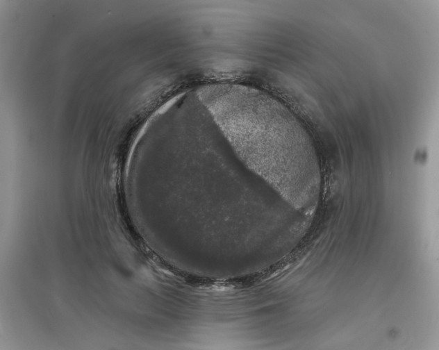 X0000097630647200803142025