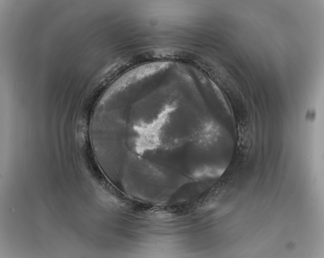 X0000097630648200803142025