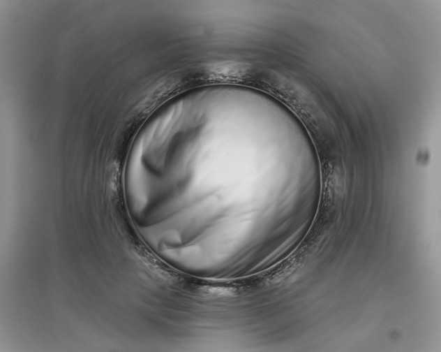 X0000097630649200803142025