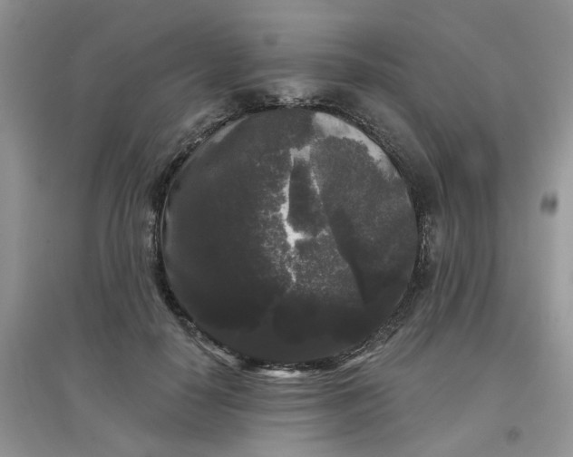 X0000097630650200803142025