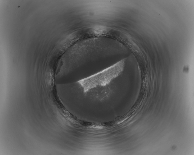 X0000097630651200803142025