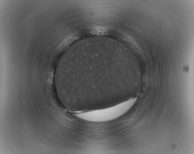 X0000097630652200803142025