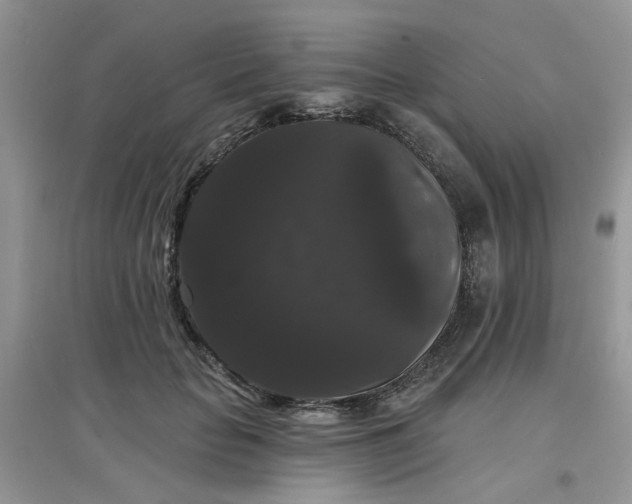 X0000097630653200803142025