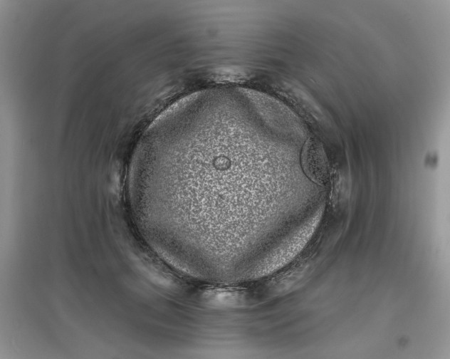 X0000097630655200803142025