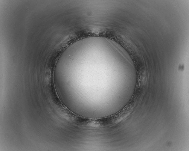 X0000097630656200803142025