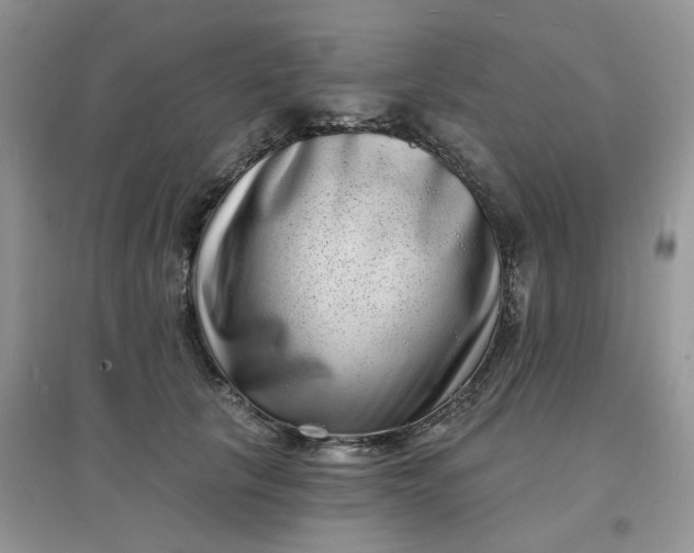 X0000097630657200803142025