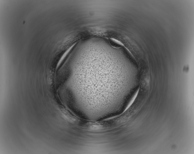 X0000097630658200803142025