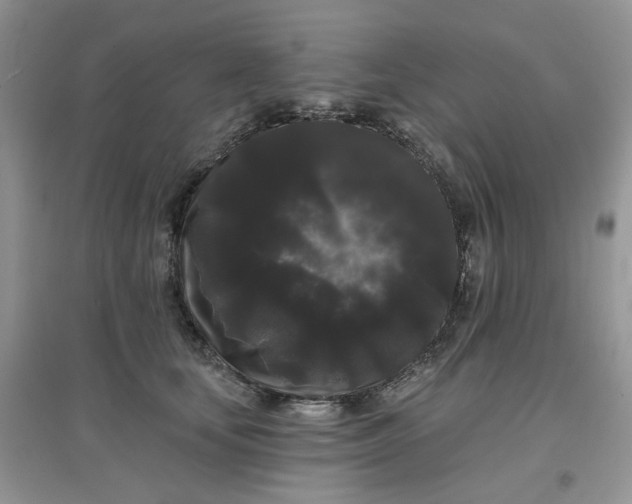 X0000097630659200803142025