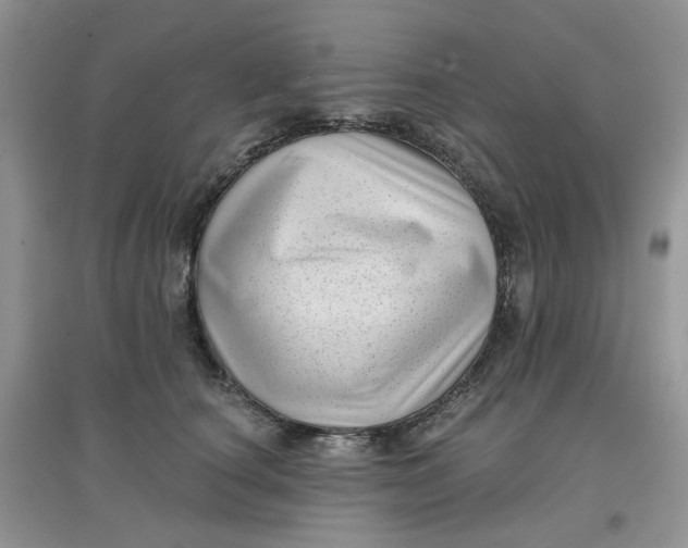 X0000097630660200803142025