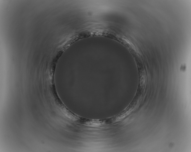 X0000097630661200803142025