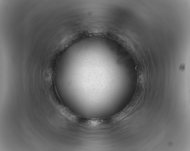 X0000097630662200803142025