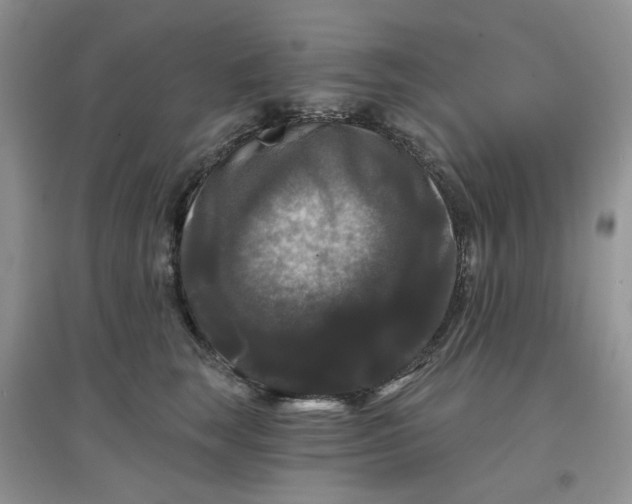 X0000097630663200803142025