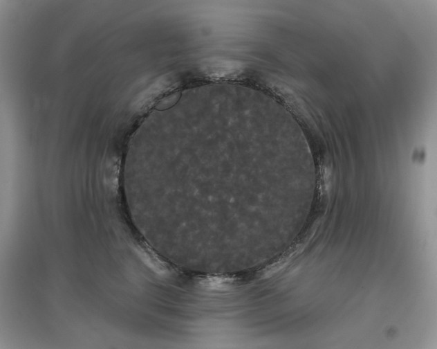 X0000097630664200803142025