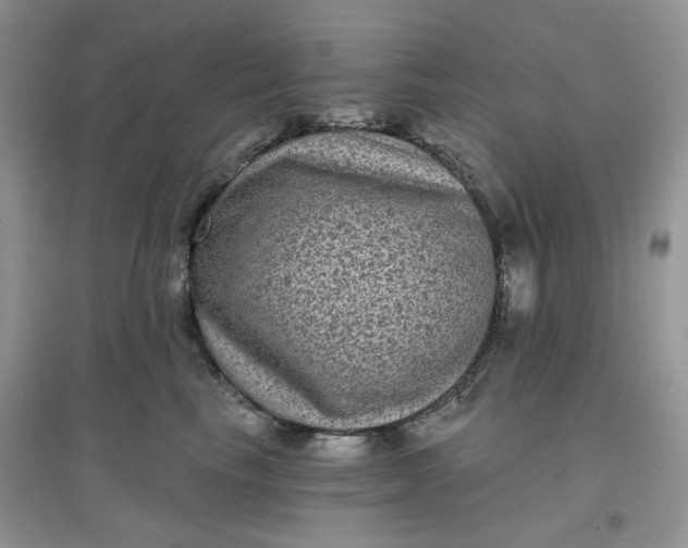 X0000097630665200803142026