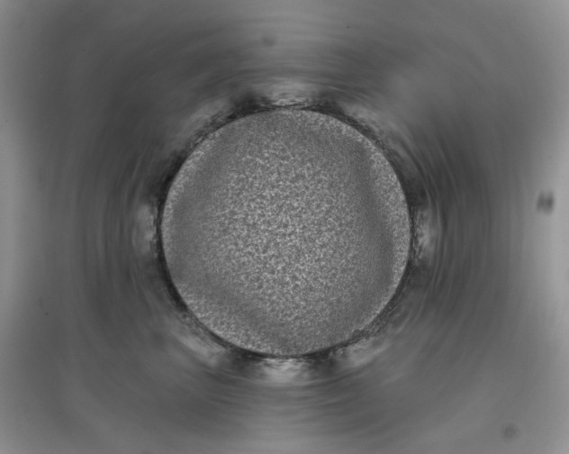 X0000097630667200803142026