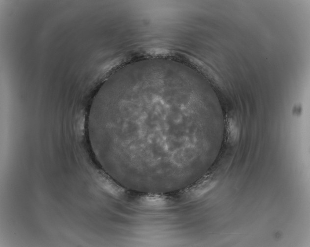 X0000097630668200803142026