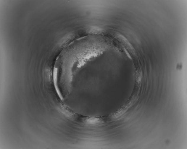 X0000097630669200803142026