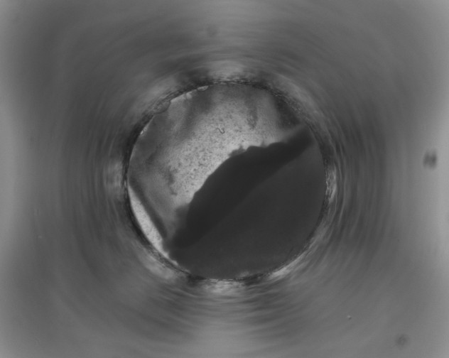 X0000097630670200803142026