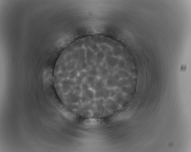 X0000097630672200803142026