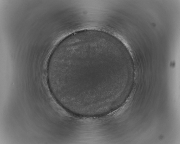 X0000097630673200803142025