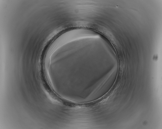 X0000097630674200803142025