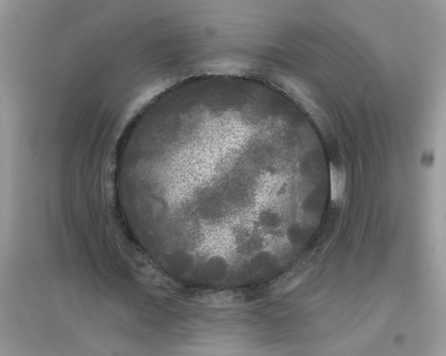 X0000097630675200803142025