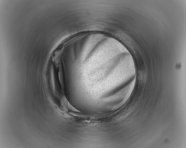 X0000097630676200803142025