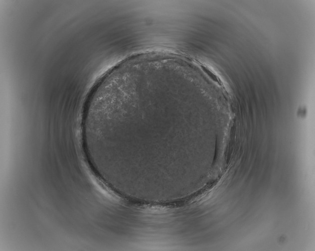 X0000097630677200803142025