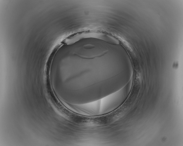 X0000097630678200803142025