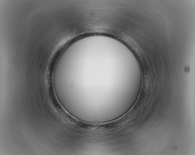 X0000097630680200803142025