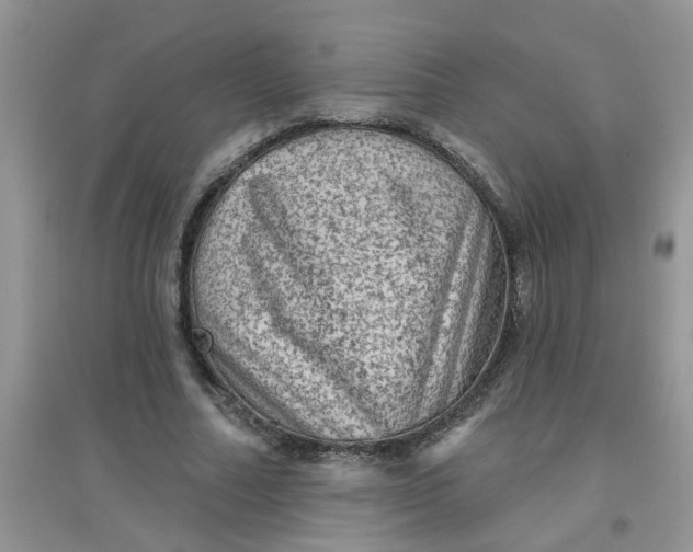 X0000097630682200803142025