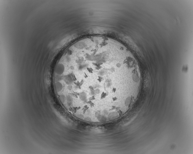 X0000097630683200803142025