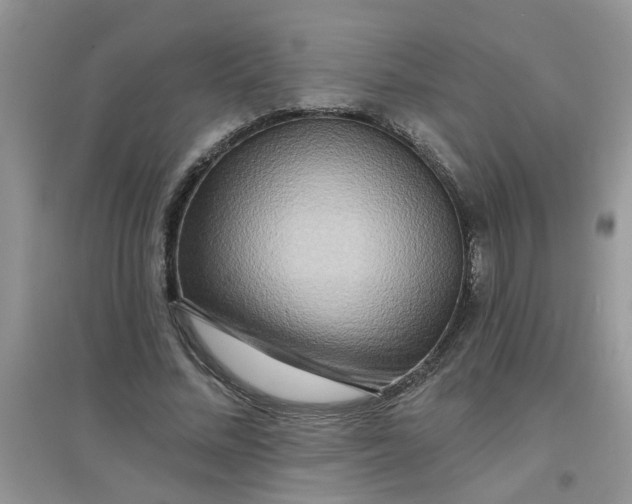 X0000097630684200803142025