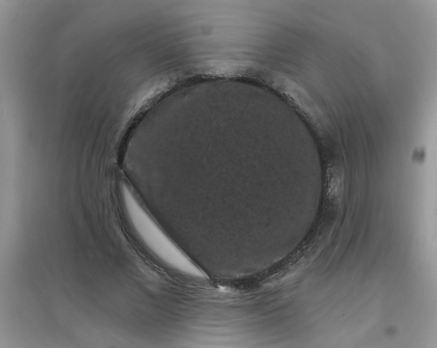 X0000097630685200803142025